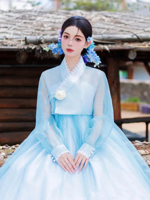 Blue korean royal court hanbok dress for women traditional palace costume for ceremonial events full length view