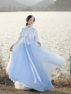 Blue modern korean hanbok set spring summer daily wear and work outfit