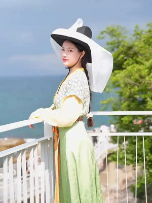 Tang made curtain hat ancient Hanfu hat ancient lady - Yandan_Hanfu