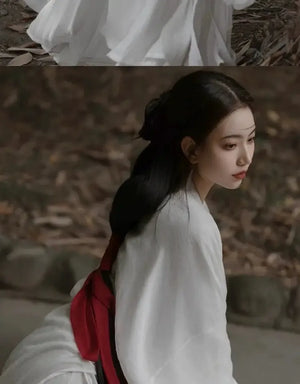 Jin dynasty white Wei Jinfeng wide-sleeved Liuxian dress - Yandan_Hanfu