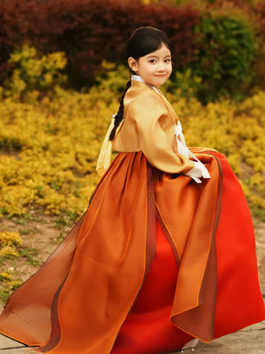 Family Matching Hanbok – Palace Style Brown Korean Ethnic Traditional Outfit - Yandan_Hanfu