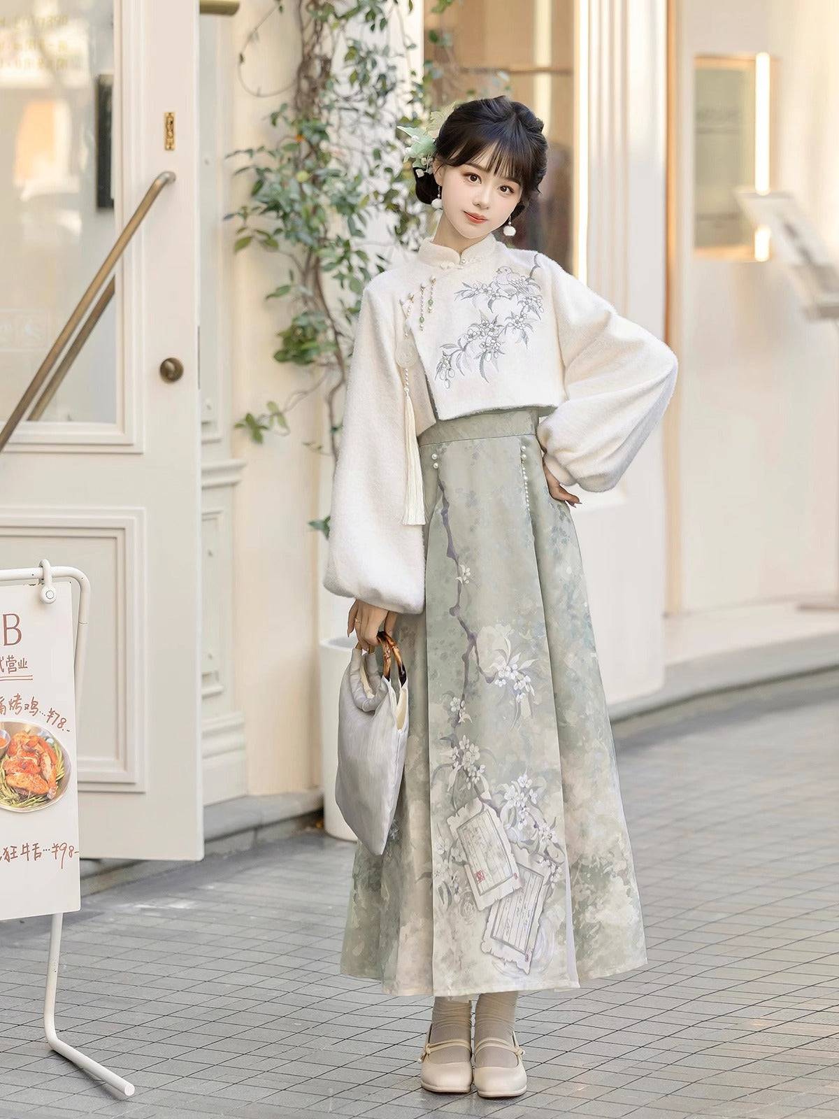 Elegant Hanfu dress set by Lixiang with long sleeves and pastel green skirt, showcasing new Chinese fashion elements for women.