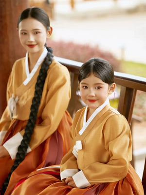 Family Matching Hanbok – Palace Style Brown Korean Ethnic Traditional Outfit - Yandan_Hanfu