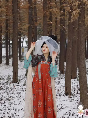 Tang made curtain hat ancient Hanfu hat ancient lady - Yandan_Hanfu