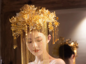 Elegant Toast Dress – Modern Chinese Gown with Exquisite Embroidery for Engagement & Gala Events - Yandan_Hanfu