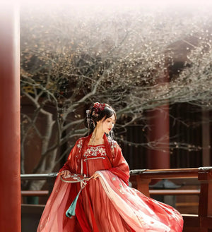 Tang-Dynasty Hako Skirt Daily Fairy Big Sleeve Shirt Spring and Summer - Yandan_Hanfu