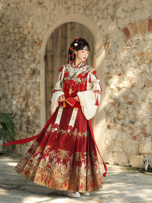 Heavenly Steed Blessing – New Year Hanfu-Inspired Dress Set | Auspicious Winter Outfit for Festive Celebrations - Yandan_Hanfu