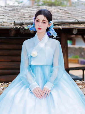 Traditional blue Hanbok dress with sheer sleeves and white floral details.