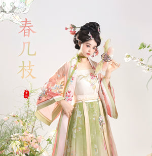 【Petals in the Breeze】Song-Style Hanfu Set with Short-Sleeve Beizi – Everyday Spring Elegance