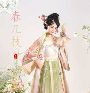 【Petals in the Breeze】Song-Style Hanfu Set with Short-Sleeve Beizi – Everyday Spring Elegance - Yandan_Hanfu