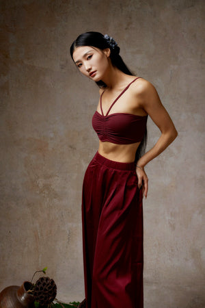Elegant wine red sheer tencel dance outfit