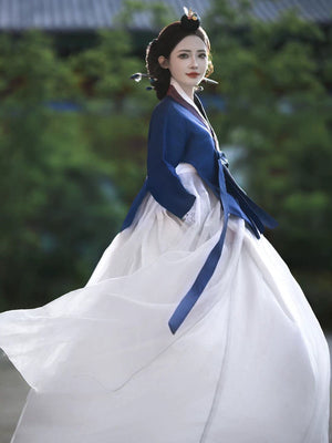 Blue and white princess hanbok gown with flowing skirt, traditional styling - Yandan_Hanfu
