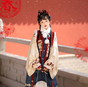 Chinese New Year Hanfu Women's Ming Dynasty Square Neck Embroidered Bijia Horse Face Skirt New Year's Eve Dress Winter Plush - Yandan_Hanfu