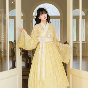 Enamel Elegance – Modern Hanfu Women's Autumn Set | Ming-Style Tieli with Sheer Overlay Skirt in Tencel - Yandan_Hanfu