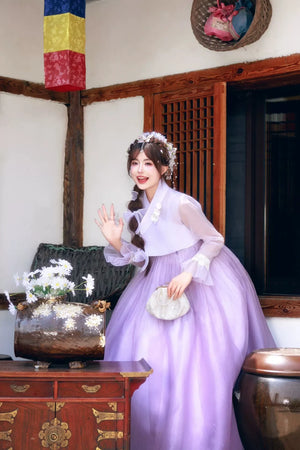 Purple Princess Hanbok Palace Dress – Korean Traditional Gown for Women’s Event,Weddings, Photoshoots & Performances - Yandan_Hanfu