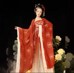 Tan dynasty embroidered hanfu dress - Yandan_Hanfu