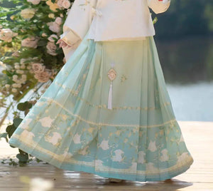 Ming Dynasty | Rabbit Hanfu Set - Yandan_Hanfu