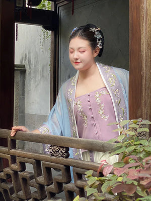 Song Dynasty| Mengchuhui(梦初回) Hanfu Plus Size - Yandan_Hanfu