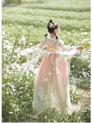 Tang Dynasty | Flower Hanfu Dress - Yandan_Hanfu