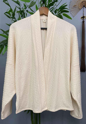 Song Dynasty | Hanfu Top【飞机袖】 - Yandan_Hanfu