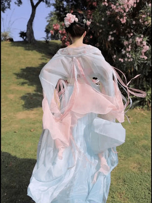 Wei Jin Dynasty | Blue&Green&Pink Traditional Hanfu - Yandan_Hanfu