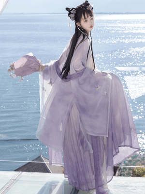 Tang Dynasty | Purple Traditional Hanfu