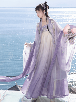 Tang Dynasty | Purple Traditional Hanfu