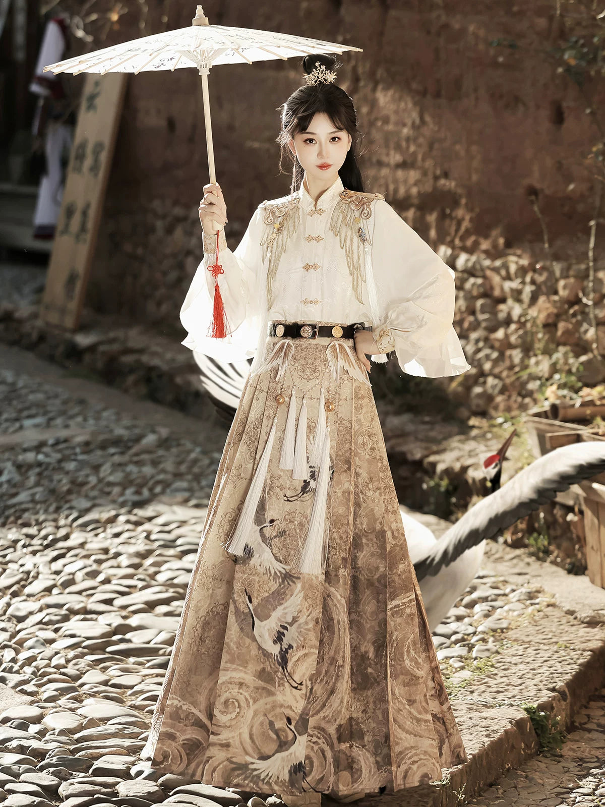 Authentic emissary of the kingdom of heaven autumn suit new chinese shirt horse face skirt han elements national style fairy hanfu standing front