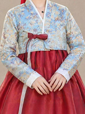Traditional korean hanbok court dress elegant women outfit for photography dance and stage events fabric and embroidery detail