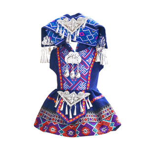 Chinese ethnic festival pet costume zhuang yao inspired traditional outfit for pets fabric and detail view