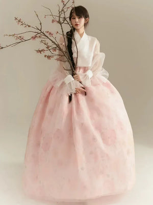 Dreamy pink modern hanbok korean court style dress for solo dance and viral photos