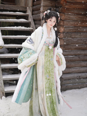Elegant verdant atelier tang style winter hanfu cloak with cross collar top and qi chest skirt set side view