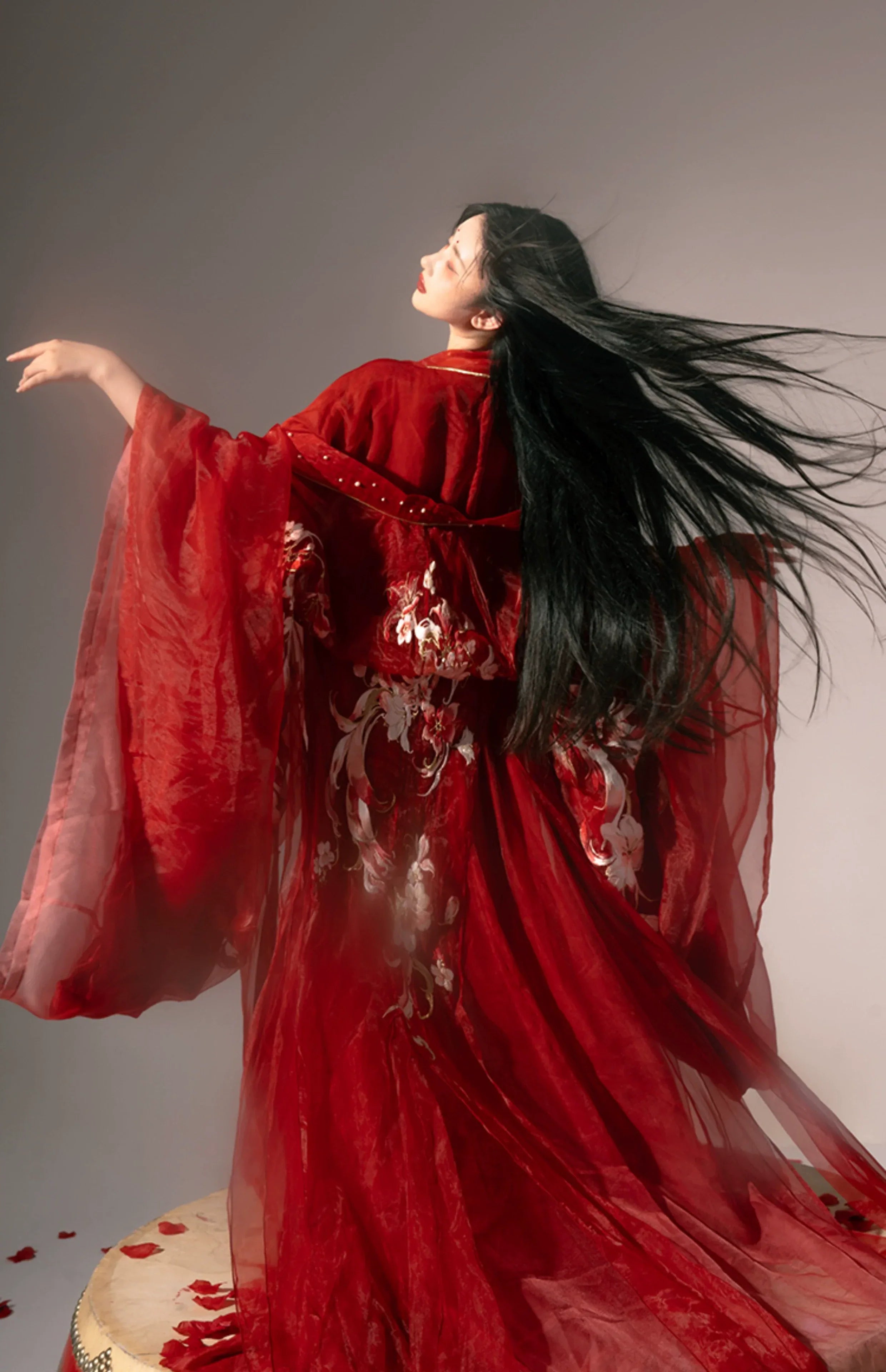 Tang Dynasty Hanfu | Red chest-length wrap skirt with super fairy embroidery and large-sleeved top suit One Set / S Tang Dynasty Hanfu | Red chest-length wrap skirt with super fairy embroidery and large-sleeved top suit One Set / S