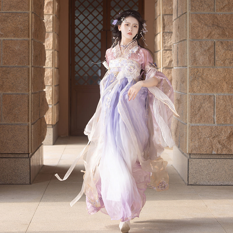 [Hibiscus] Tang Dynasty purple Han element Hanfu