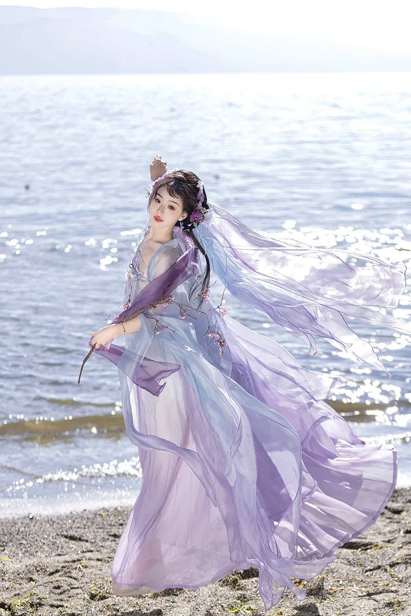 Made in the Tang Dynasty | Princess dress Hanfu female fairy embroidery Outer Covering / XL / Blue Purple Made in the Tang Dynasty | Princess dress Hanfu female fairy embroidery Outer Covering / XL / Blue Purple