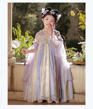 Tang Dynasty Purple Hanfu girls ancient summer dress with sheer sleeves and floral embroidery, styled with traditional hair ornaments.