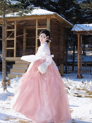 Pink full skirt hanbok elegant vibrant ensemble for portraits