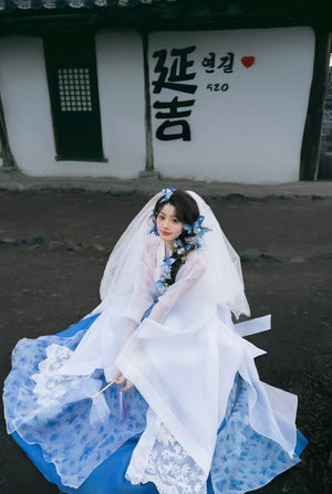 White and blue korean hanbok traditional one size dress

