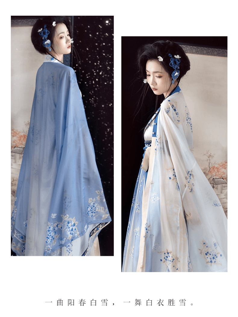 Tang Dynasty | Blue Traditional Hanfu